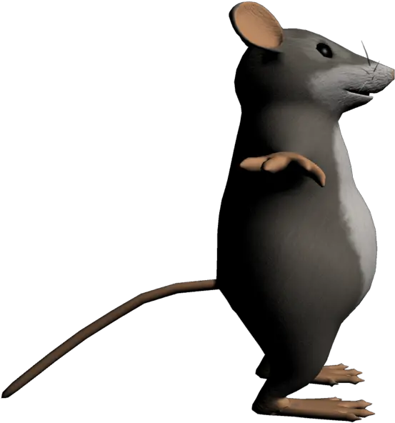 Cartoon Rat Png 3d Model Rat Mouse 3037429 Vippng Cartoon Rat Png Rat Transparent