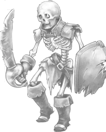 Skeleton Illustration Png Skeleton Png