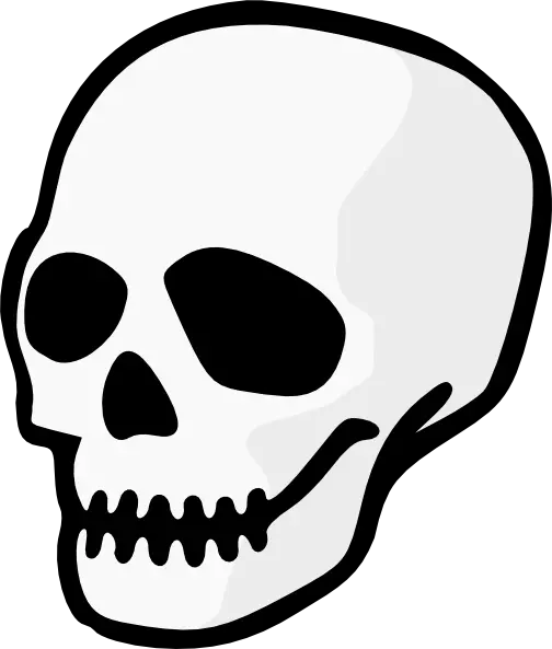 Human Skull Png