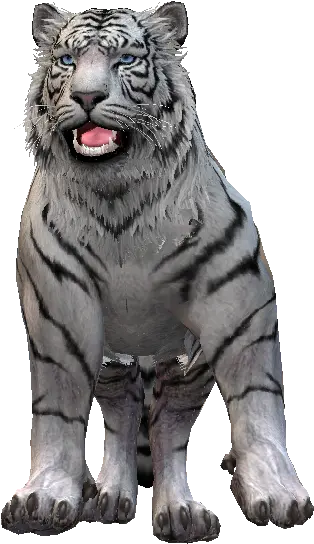 White Tiger Content Classconnect Siberian Tiger Png White Tiger Png