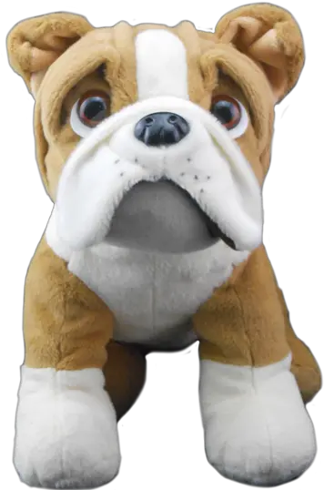 Ultrababy 3d 4d Ultrasound Technology Stuffed Toy Png Bulldog Png