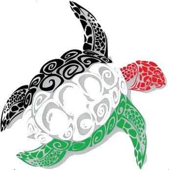 Jsctt Home Girly Png Turtle Icon Png