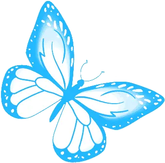 Butterfly Blue Gif Blue Cute Butterflies Gif Png Butterfly Icon Image Girly