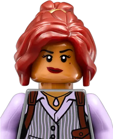 Lego Batman Movie Barbara Gordon Lego Barbara Gordon Png Crazy Hair Png