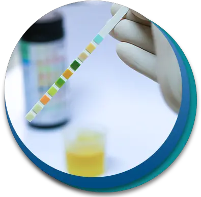 Peace Of Mind Drug Testing Services Routine Urinalysis Procedure Png Drug Test Icon