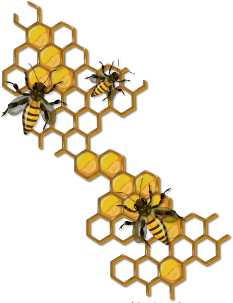 Tubes Printemps Bee Honey Comb Clip Art Png Download Bee And Honey Drawing Honey Comb Png