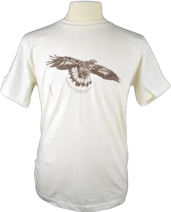 Golden Eagle Bald Eagle Png Golden Eagle Png