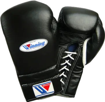 11 Best Boxing Gloves 2019 To Notch Up Your Game Best Png Boxing Glove Png