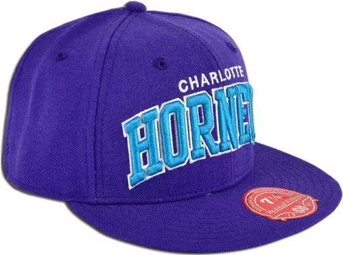 Mitchell U0026 Ness Nba Charlotte Hornets Fitted Cap Baseball Baseball Cap Png Dunce Hat Png