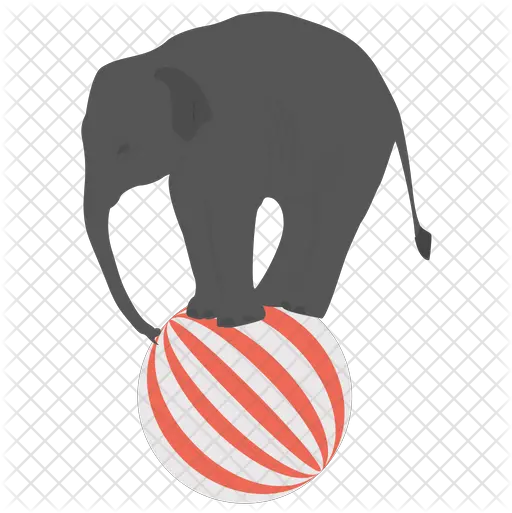 Elephant Circus Icon For Basketball Png Circus Elephant Png