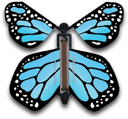 Baby Shower Butterflyers Trocadéro Gardens Png Butterfly Icon Image Girly