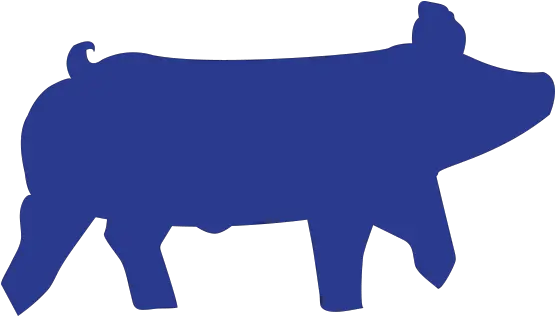 Hampshire Show Pig Silhouette Livestock Show Pig Clip Art Png Pig Silhouette Png