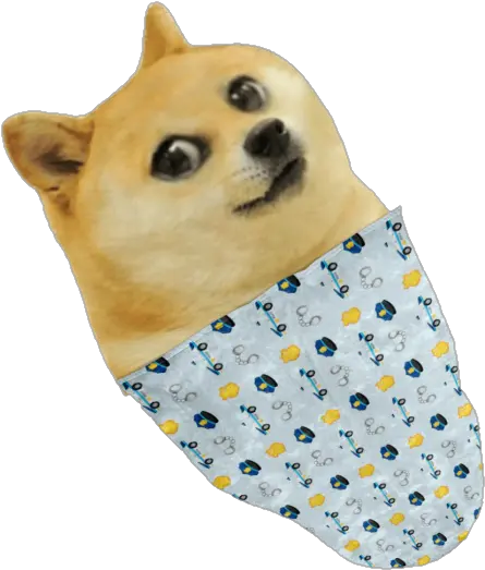 Dogelore Shiba Inu Png Doge Png