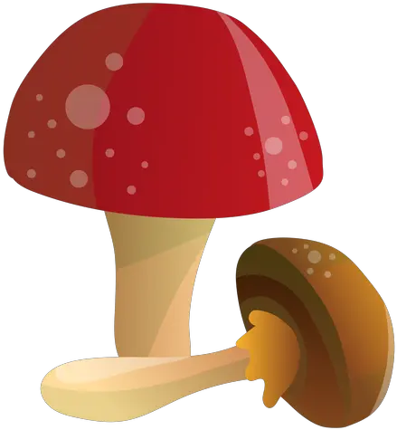 Transparent Png Mushroom Vector Png Mushrooms Png