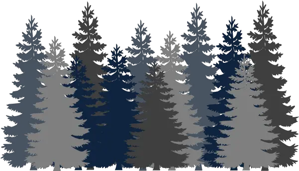 Picture Forest Clipart Transparent Background Png Forest Tree Png