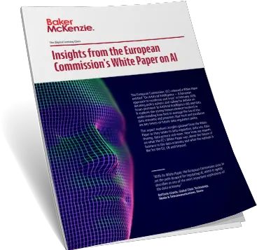 The Digital Looking Glass Insights From European Png White Paper