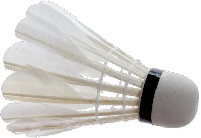 Ball Badminton Shuttlecock White Badminton Png Download Transparent Background Badminton Ball Badminton Png