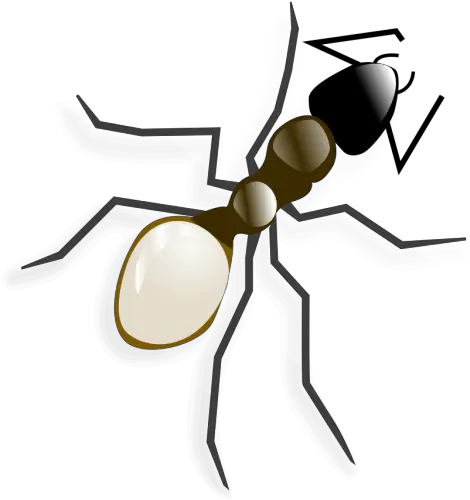 Ant Png Svg Clip Art For Web Download Clip Art Png Icon Arts Ant Icon