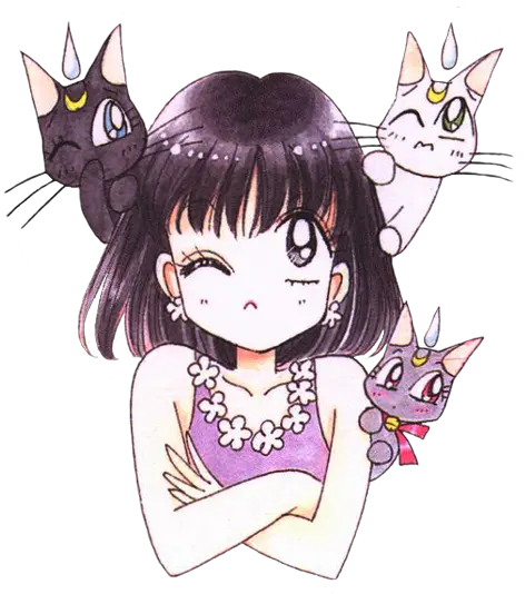 Download Hd Luna Sailor Moon Transparent Diana Artemis Sailor Saturn Png Sailor Moon Transparent