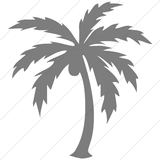 Simple Dark Gray Classica Palm Tree Icon Black Palm Tree Icon Transparent Png Simple Tree Icon