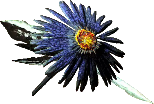 Aster Sunflowers Png Fallout 4 Honeycomb Icon