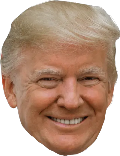 Donald Trump 2020 Stickers U2013 Wallmonkeyscom Transparent Donald Trump Sticker Png Trump Wall Transparent