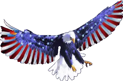 Anglican Orthodox Church Worldwide Communion Eagle Saints Bald Eagle Gif Transparent Png Eagle Transparent