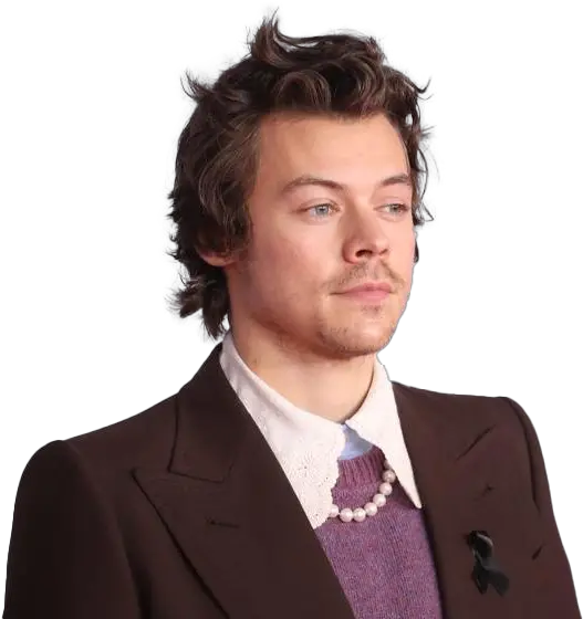 Harry Styles Png Transparent Images All One Direction Freddie Tomlinson Harry Styles Png