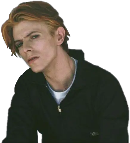 Davidbowie David Bowie Hot Image Thomas Jerome Newton Bowie Png David Bowie Transparent