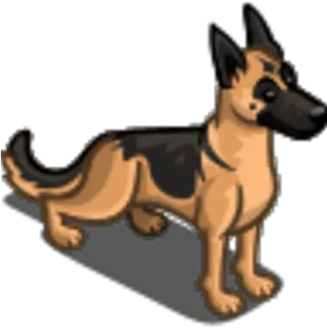 German Shepherd Old German Shepherd Dog Png German Shepherd Png