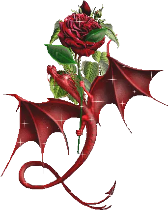 Animated Rose Wallpaper Hd Tumblr For Walls Mobile Dragon And Rose Tattoo Png Tattoo Png Tumblr