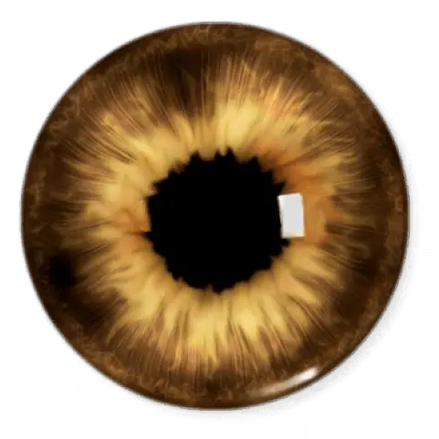 Brown Eyes Lenses Picsart Editing Png Transparent Image Eyes Lens Png Picsart Eyes Png Transparent