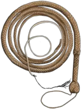 Indiana Jones Whip Pawn Stars The Game Wiki Fandom Indiana Jones Whip Png Whip Transparent