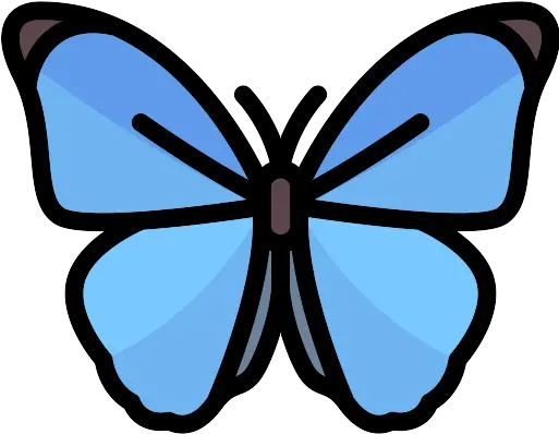 Butterfly Png Icon 142 Png Repo Free Png Icons Butterfly Icon Butterfly Png Images