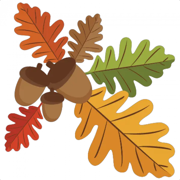 Clipart Acorn Leaves Oak Leaves Clip Art Png Acorn Transparent Background