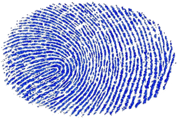 Fingerprint Png Transparent Hd Images Only Blue Transparent Fingerprint Png Ink Png