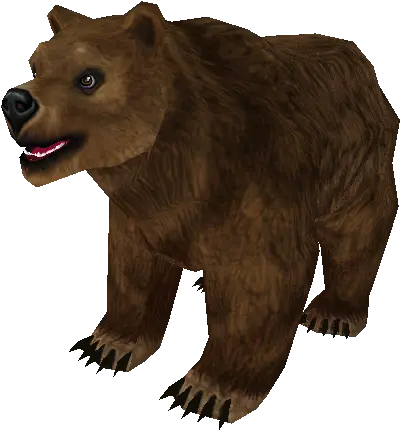 Pc Computer Zoo Tycoon 2 Grizzly Bear Cub The Models Bear Png Grizzly Bear Png