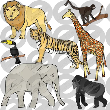 Jungle Animals Picture For Classroom Illustration Png Jungle Animals Png