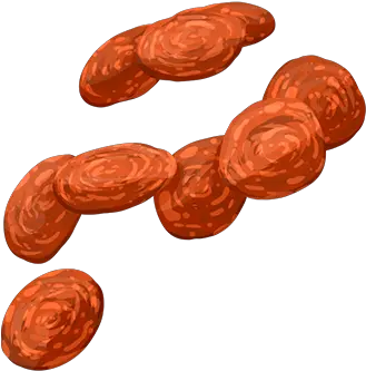 Pepperoni Png Image Pepperoni Png Pepperoni Png