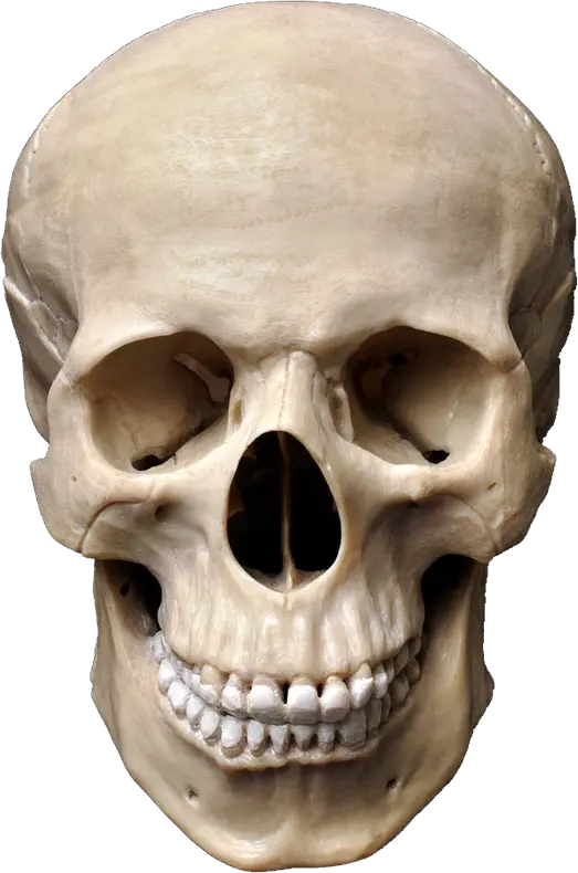 Skull Images Png