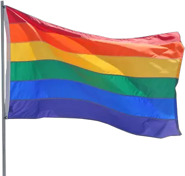 Wavy Transparentpng Image Information Transparent Pride Flag Png Rainbow Flag Png