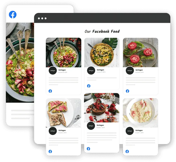 Embedalbum Embed Facebook Gallery Instagram And Twitter Feeds Superfood Png Facebook Twitter Instagram Logo