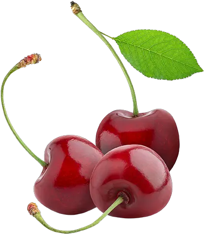 Cherries Tart Cherry No Background Png Cherry Transparent Background