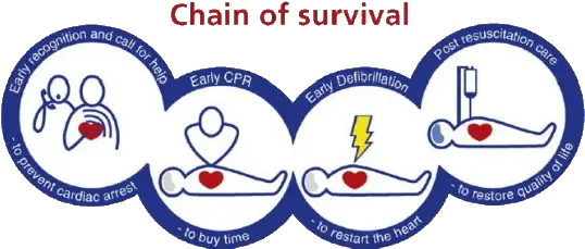 Chain Ofsurvivaltransparentbackground Nwcfr Cpr Chain Of Survival Png Chain Transparent Background