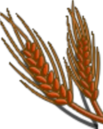 Red Wheat Farmville Wiki Fandom Wheat Icon Png Wheat Icon Png