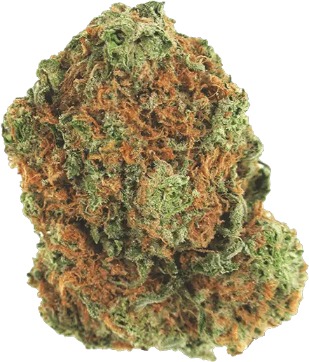 Download Sugar Cookie Hybrid Cannabis Strain Sugar Cookie Red Pine Png Sugar Cookie Png