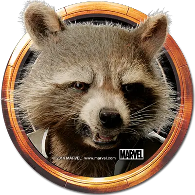 Download Hd Guardiansofthegalaxy Avatar Rocket Marvel Avatar Guardians Of The Galaxy Png Rocket Raccoon Png