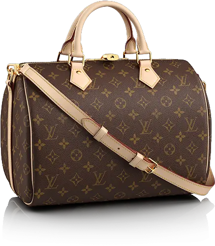 Louis Vuitton Bag Png Much Louis Vuitton Bag Louis Vuitton Png