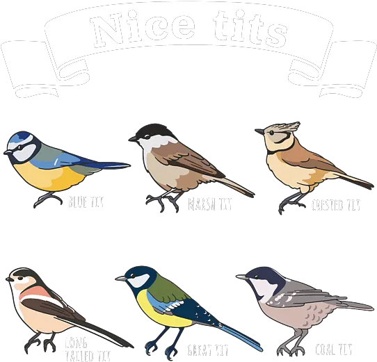 Nice Tits Bird Watching Animal Gift Fleece Blanket For Tit Bird Png Tit Icon