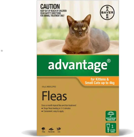 Advantage For Kittens Small Cats Advantage Flea Treatment For Small Cats Ingredients Png Orange Cat Png